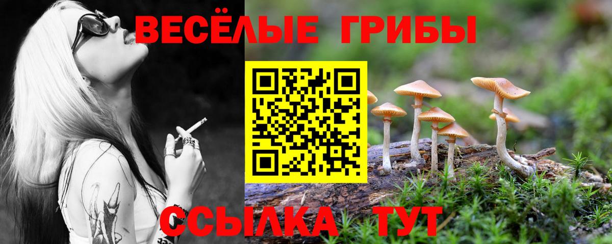 Ишим  Псилоцибиновые грибы мицелий  Псилоцибиновые грибы прущие грибы  Вход с VPN 